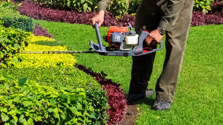 Gartenpflege richtig planen: Struktur, Timing und Fachwissen für dauerhaft gesunde Pflanzen