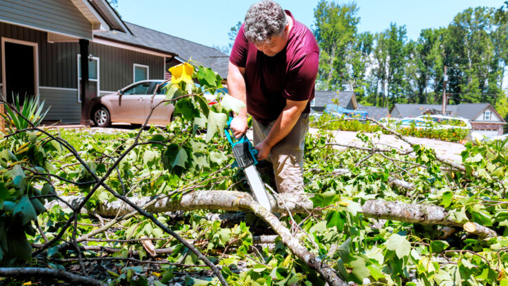 Gartenschäden nach Unwetter oder Extremwetter: So gelingt die Wiederherstellung